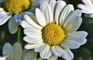 Η εβδομάδα με τη νέα σελήνη του Απριλίου 2022