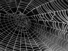 Με την Αφροδίτη στο Σκορπιό…