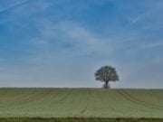 Κρόνος στους Ιχθύς- Ευκαιρίες. Πότε, για ποιους και πώς;