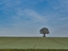 Κρόνος στους Ιχθύς- Ευκαιρίες. Πότε, για ποιους και πώς;