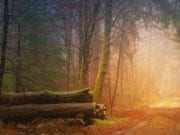 Ο Νοέμβριος 2022 αστρολογικά- γενική “γεύση”